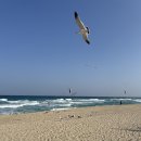 강릉독채펜션(아쿠아리어스) | 강릉 풀빌라 독채 펜션 서지별담 별채 후기, 감성 숙소 추천