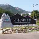 합천소입구 네이버블로그