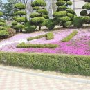 신한고등학교 이미지