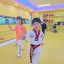 용인대 청명 태권도 이미지