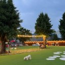 복이카페 이미지