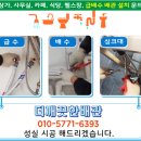 떡샵 이미지