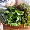 대풍갈비 앞 이미지