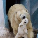 엄마와 아기곰 이미지