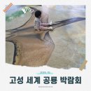 호텔다다-인사 | [체험이야기] 5살 아들과 인스타 영상 보고 바로 떠난 '고성 공룡 세계박람회' 성공적인 체험 후기!