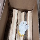 와이낫양양 이미지