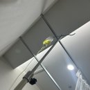 본죽 논산연무점 이미지