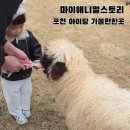 애니멀하우스 | 포천 가볼만한곳 마이애니멀스토리 서울근교 아이랑 동물체험