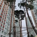 쌍둥이부동산중개사무소 이미지