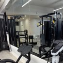 운정pt 전문성 기반 신체 변화 단계별 이해와 지속 가능성 확보 전략