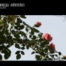 너랑나랑 이미지