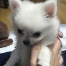 플라워타운 - 서초구 반포대로5길 12 | 플라워타운