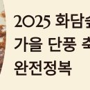 [학습반디_고강1동]아침명상 | 화담숲 가을 단풍 축제 완전정복｜절정시기·예약·모노레일·코스 총정리