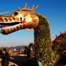 국화축제장 입구 이미지