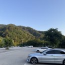 주말 2인골프 서울근교 노캐디 포레스트힐cc 포레스트 리얼후기 (그린피, 그늘집, 사우나)