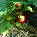 천사유치원 이미지