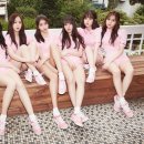 이미지 카카오 검색결과