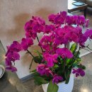 한탄리버스파호텔 이미지