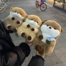 인형짱뽑고뽑기 | 우소우소짱 인형 수달 속았지 인형뽑기 꿀팁 후기