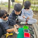 동물식물 생태체험교실 | 북서울꿈의숲 초등 유아숲체험 동고비생태학교 가을 단풍명소