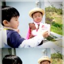 진욱농장 이미지