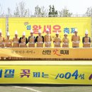 섬 왕새우축제 이미지