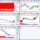 화진코리아(주) 이미지