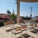 푸른마을유치원 | 함평 국향대전 2025 주차장 일정표 간식거리 근처 맛집