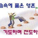 소망목장 이미지