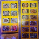 꼬꾸마시 이미지