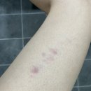 맑음on스킨&바디