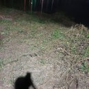 포천한의원 이미지