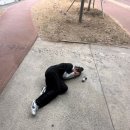 911연기학원 이미지