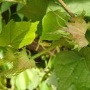 목화유치원 이미지