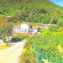 화목부동산공인중개사사무소 이미지