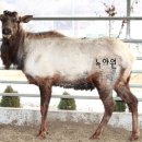 녹야원농장 네이버블로그