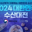대전쿠폰 티스토리