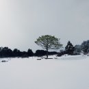 제주도게스트하우스파티달이머물다