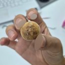 코사마트우리점(김용권) | [2026.07] Week 3. 🌞여름 드라이브와 외식 폭탄 일상🍴💣