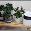 경공인중개사사무소 이미지