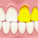 투디(2D)치과의원 이미지