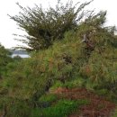 구암동387 이미지