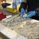 소문난떡집 | 모란시장5일장 웨이팅맛집 소문난떡집, 명장도너츠 솔직후기