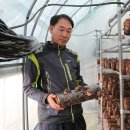 산아래농장 이미지