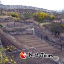 김영종 농장 이미지