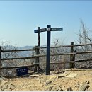작두산 Daum카페