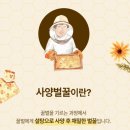 차봉극 벌꿀 네이버블로그