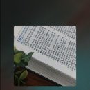 [도서정보] 융의 심리학으로 읽는 성서와 꿈 / 머레이 스타인 / 달을긷는우물 이미지