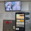 비율카페