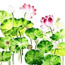 『클랑 Summer Concert “울림”』 | 세계의 오케스트라 TOP5 [유명 오케스트라 순위]